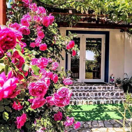 Teo Guest Rooms Băile Felix Dış mekan fotoğraf