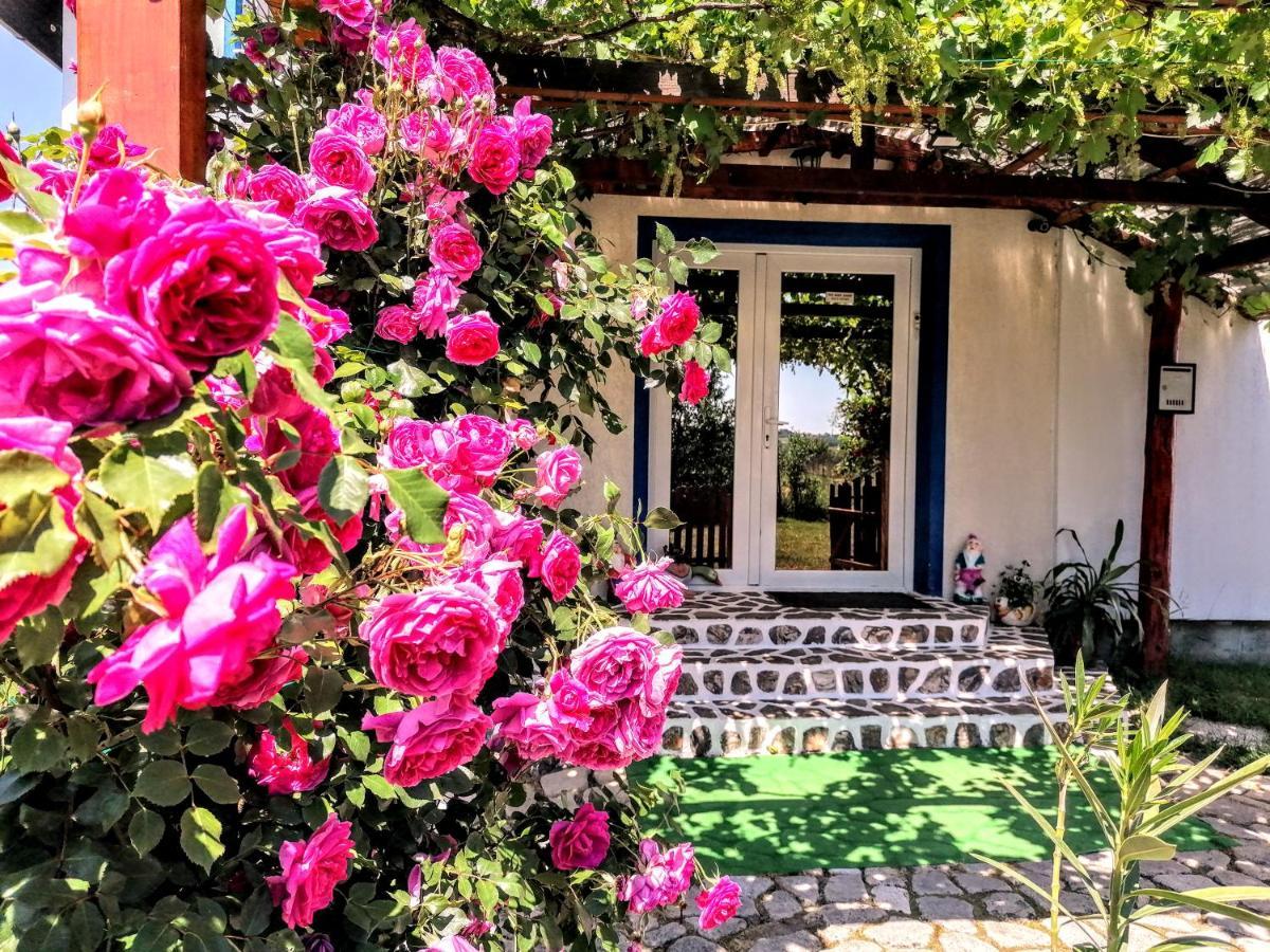 Teo Guest Rooms Băile Felix Dış mekan fotoğraf